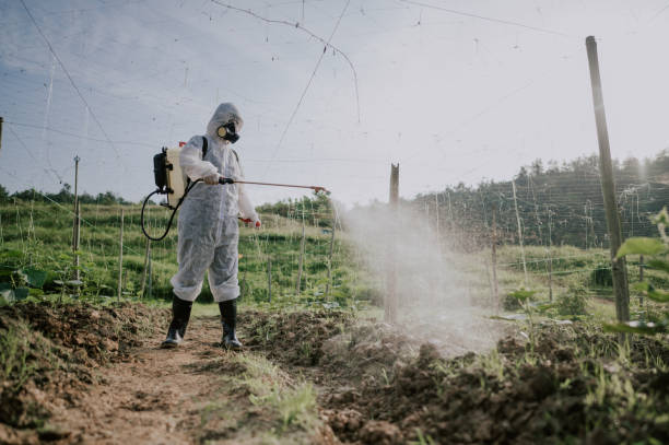 Best Local Pest Control Services  in Hokes Bluff, AL