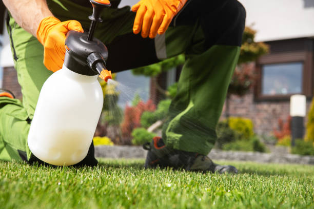 Best Pest Prevention Services  in Hokes Bluff, AL