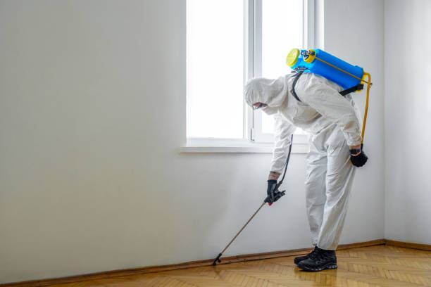 Best Mosquito Control Services  in Hokes Bluff, AL