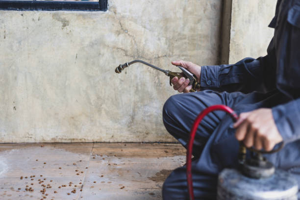 Best Residential Pest Control  in Hokes Bluff, AL